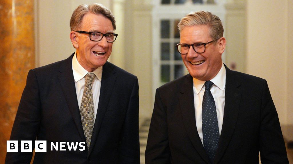 mandelson appointment