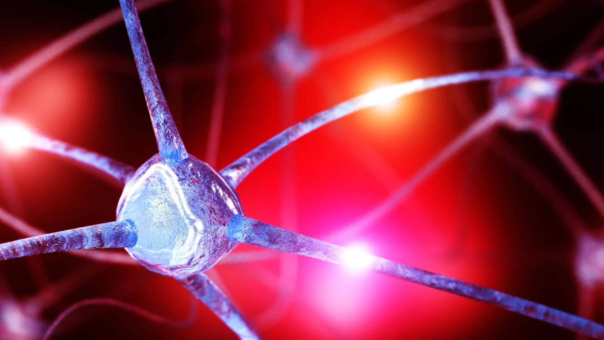 brain nutrient deficit