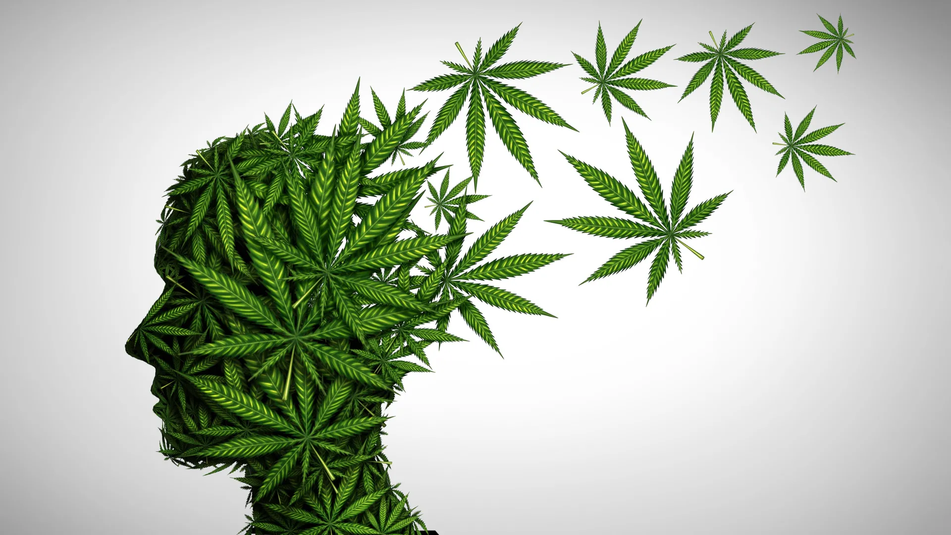 cannabis use