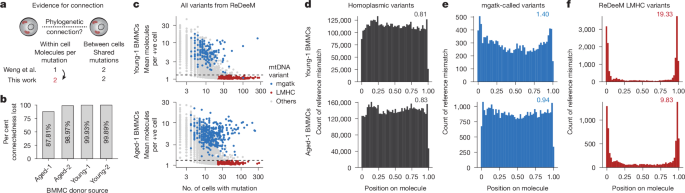 single cell genetics
